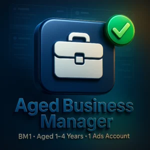 BM1 Aged Business Manager